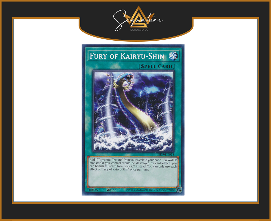 Yu-Gi-Oh! - Fury of Kairyu-Shin LED9-EN028 - Legendary Duelists 1st Edition